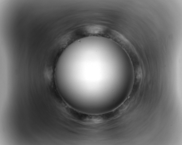 X0000098100559200804111025
