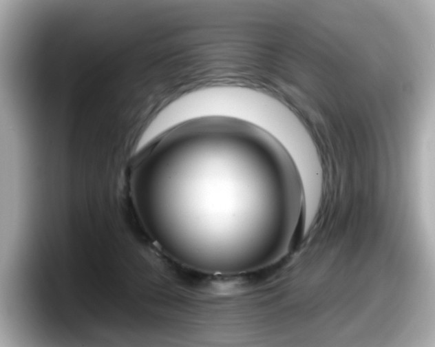 X0000098100560200804111025