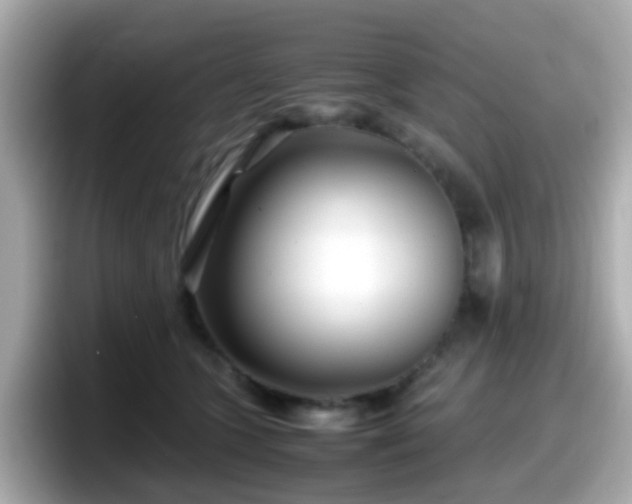 X0000098100563200804111025