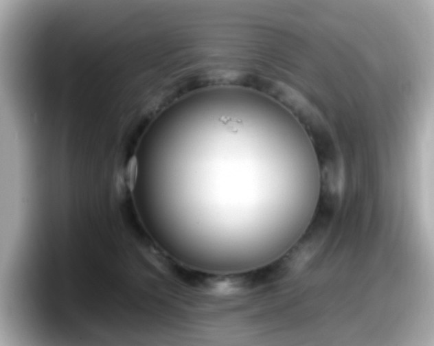 X0000098100564200804111025