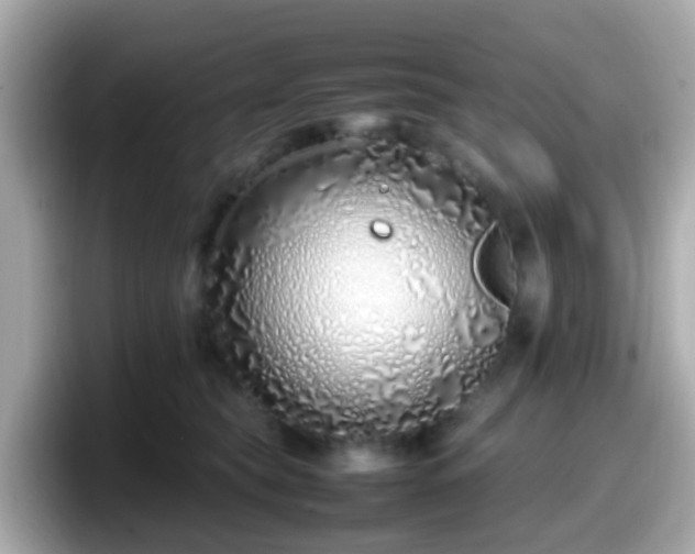 X0000098100565200804111025