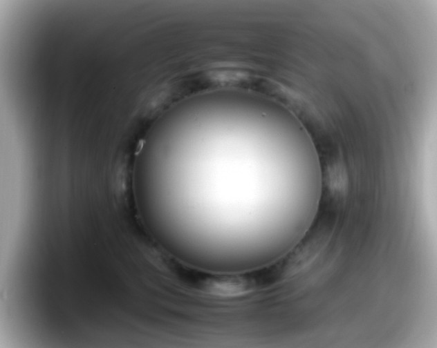 X0000098100567200804111025