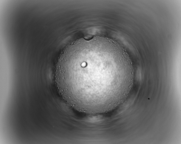 X0000098100569200804111025