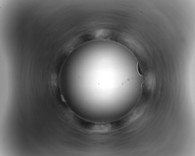 X0000098100571200804111025