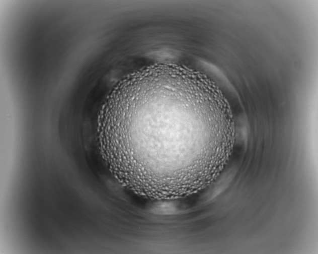 X0000098100573200804111025