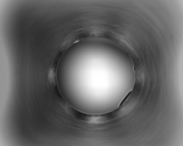 X0000098100575200804111025