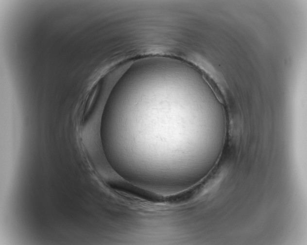 X0000098100577200804111024