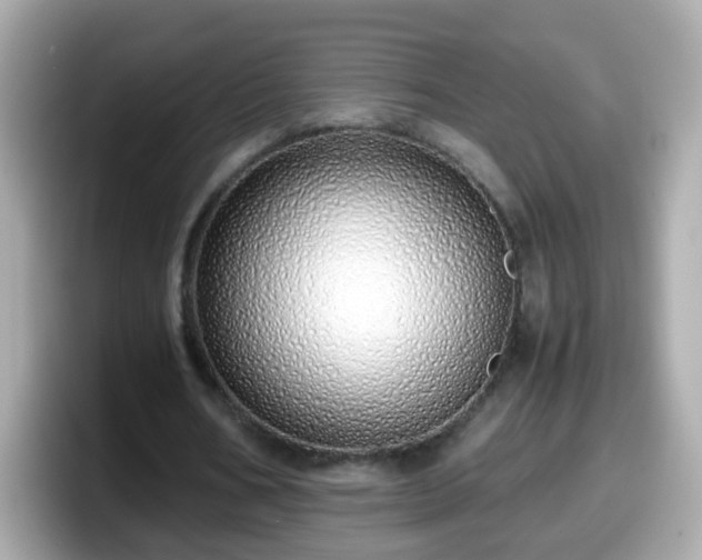 X0000098100578200804111024