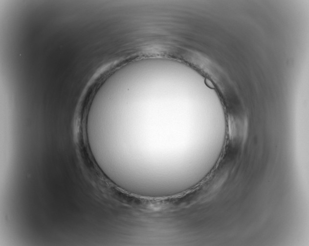 X0000098100579200804111024