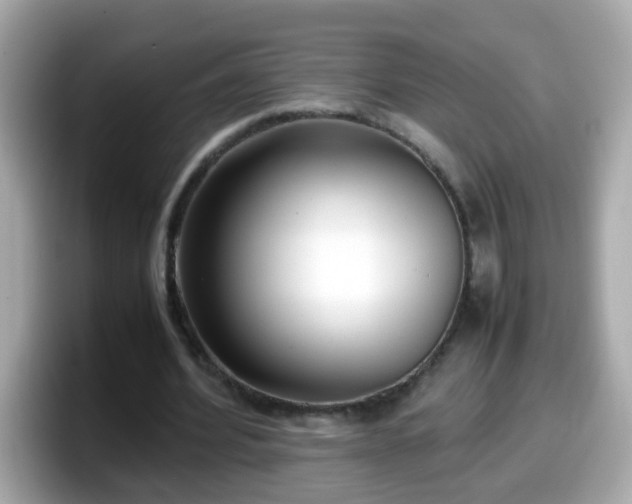 X0000098100580200804111024