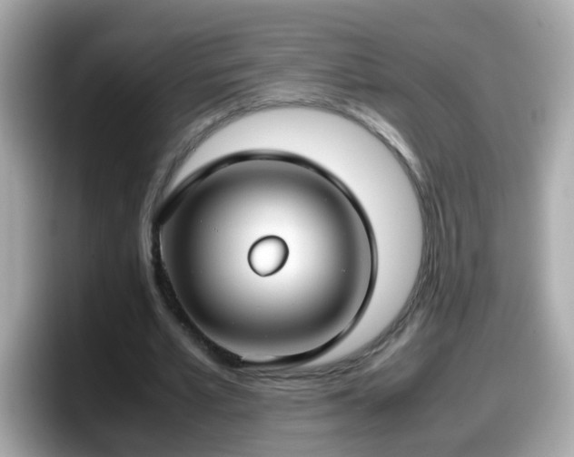 X0000098100581200804111024