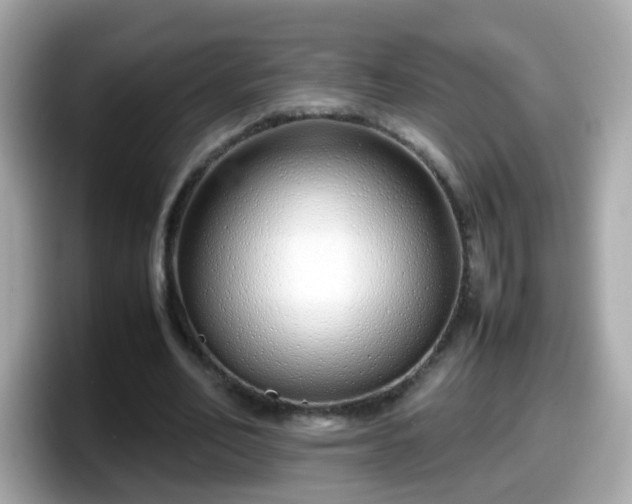 X0000098100582200804111024