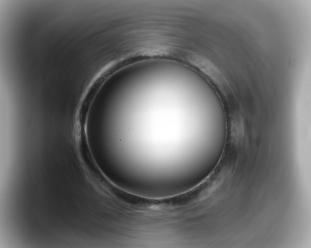 X0000098100584200804111024