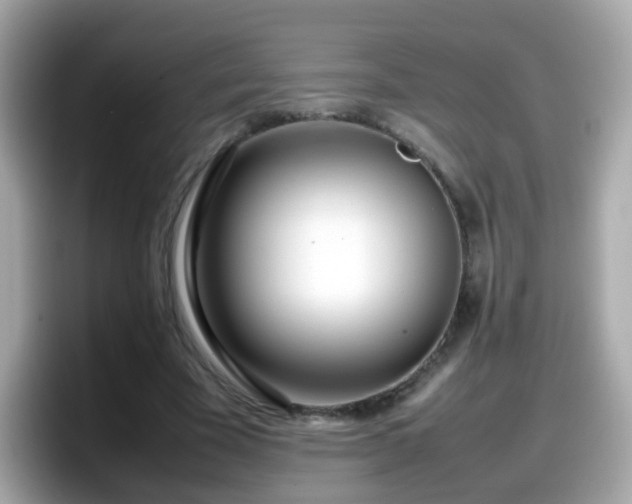 X0000098100585200804111024