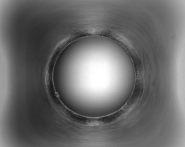 X0000098100587200804111024