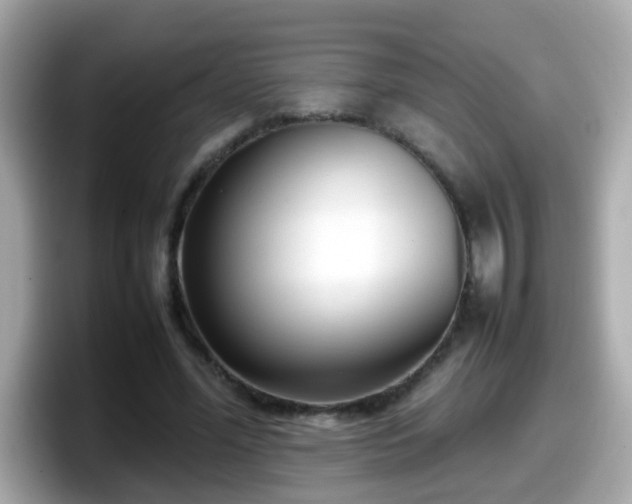X0000098100588200804111024
