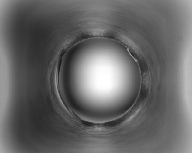 X0000098100589200804111024
