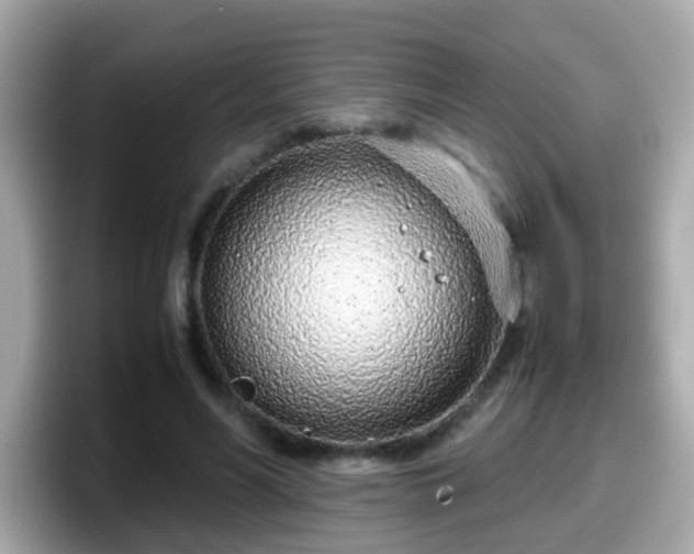 X0000098100590200804111024