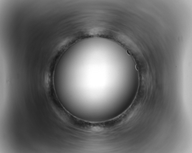 X0000098100592200804111024