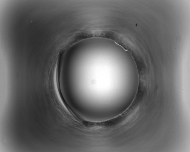 X0000098100593200804111024
