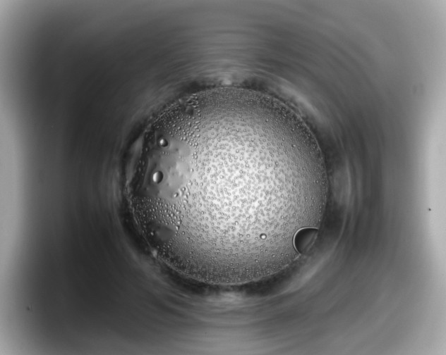 X0000098100594200804111024