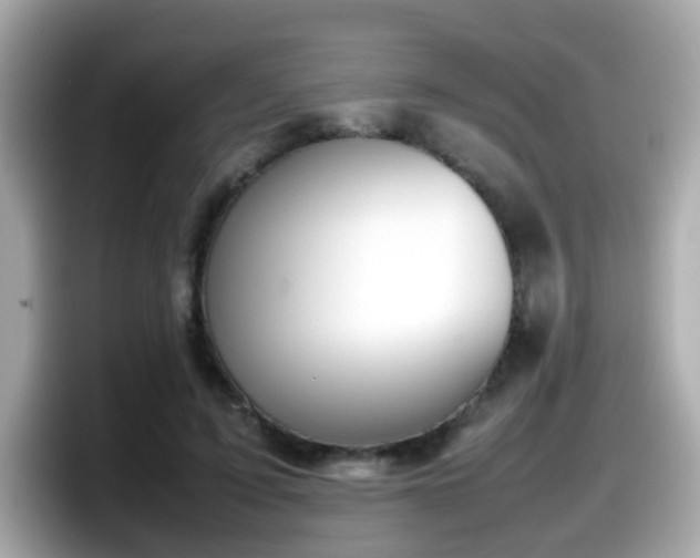 X0000098100595200804111024