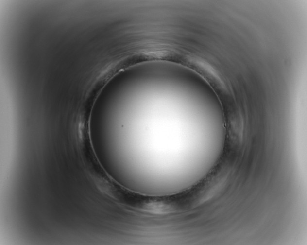 X0000098100596200804111024
