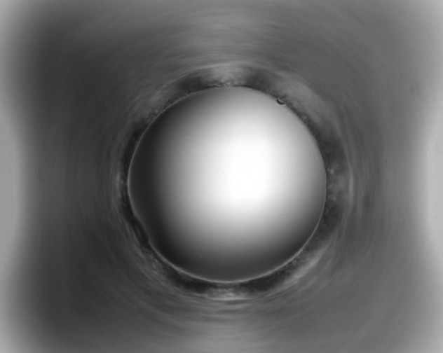 X0000098100597200804111024
