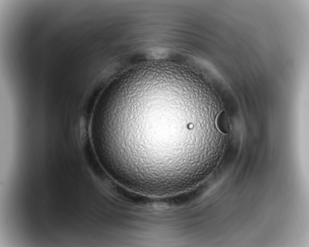 X0000098100598200804111024
