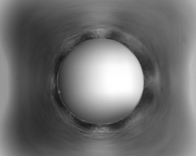 X0000098100599200804111024