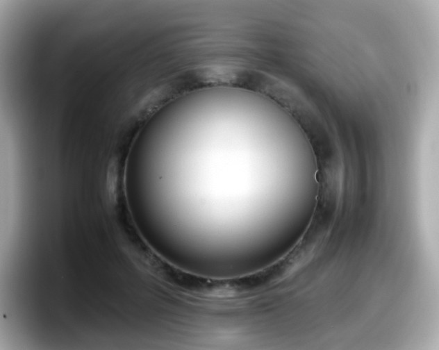 X0000098100600200804111024