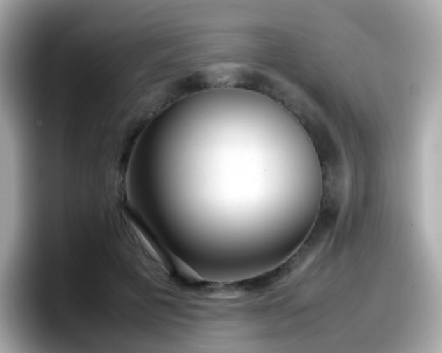 X0000098100601200804111024