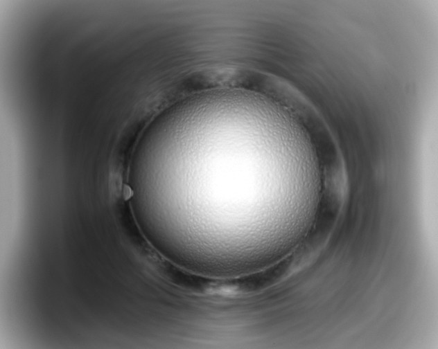 X0000098100602200804111024