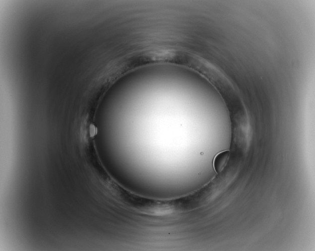 X0000098100604200804111024