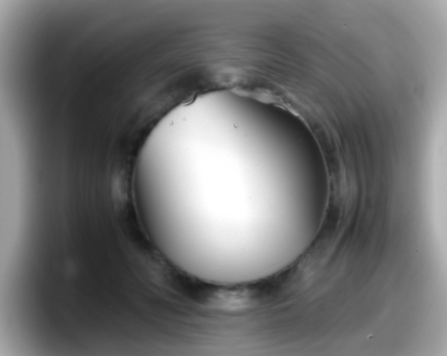 X0000098100606200804111024