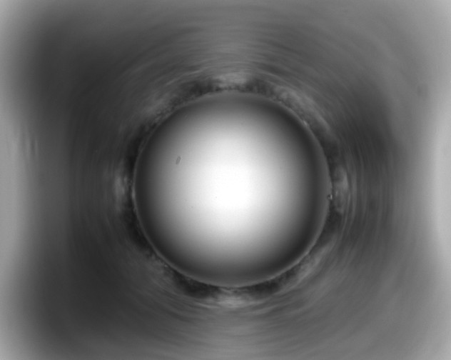 X0000098100608200804111024