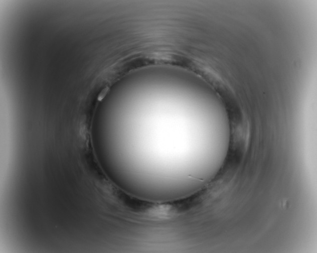 X0000098100609200804111024