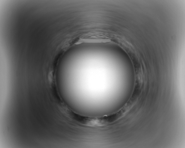 X0000098100611200804111024