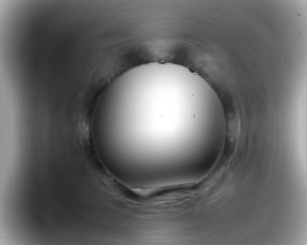 X0000098100613200804111024