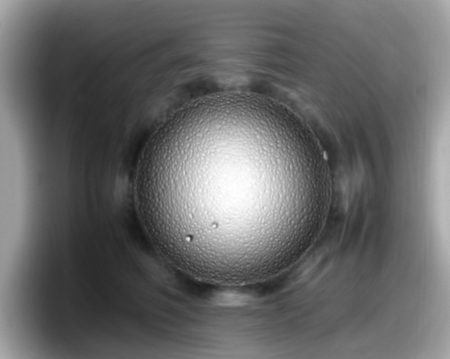 X0000098100614200804111024
