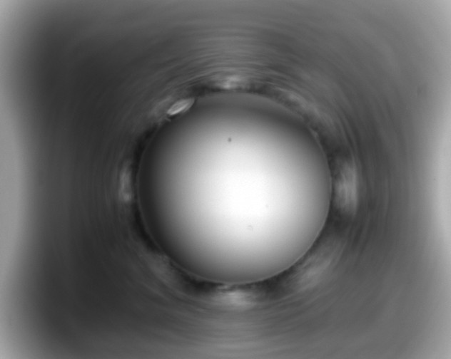 X0000098100620200804111024