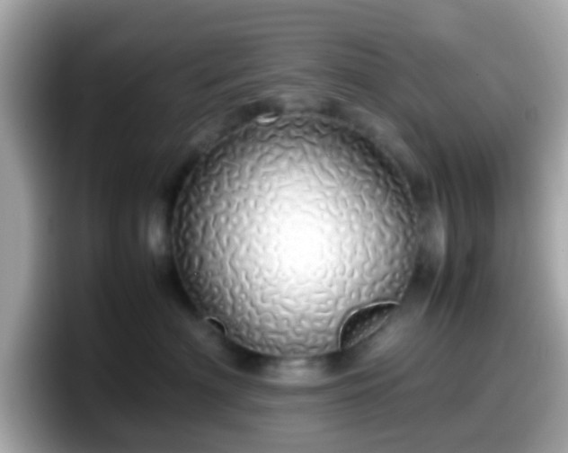 X0000098100622200804111024