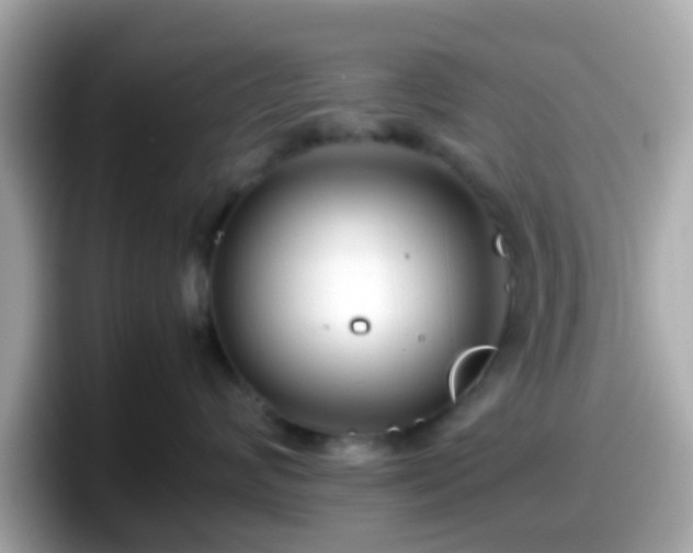 X0000098100624200804111024