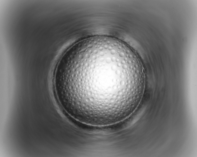 X0000098100625200804111023