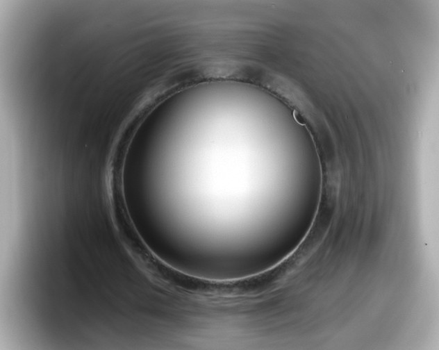 X0000098100626200804111023