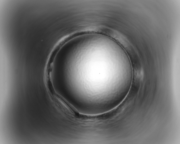X0000098100628200804111023
