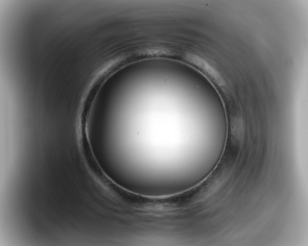 X0000098100629200804111023