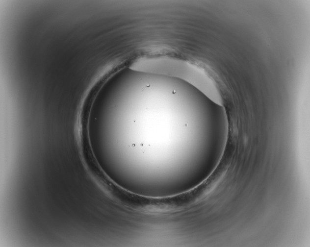 X0000098100630200804111023