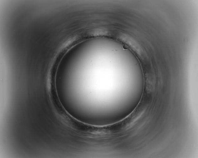 X0000098100631200804111023