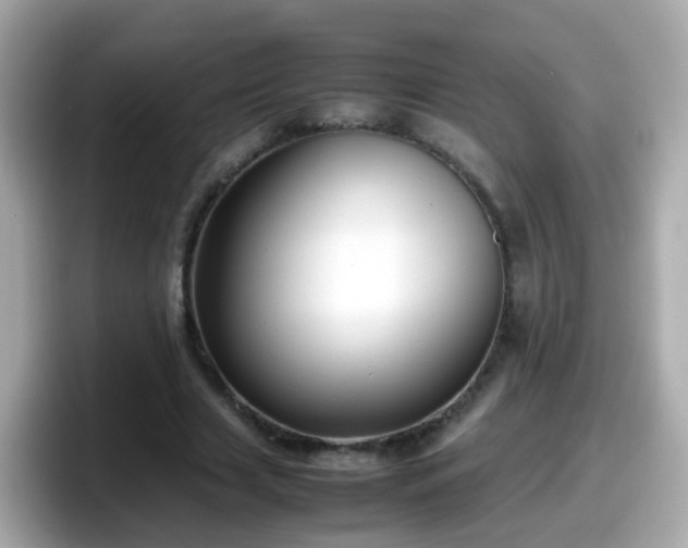 X0000098100633200804111023